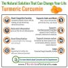 Super Bio Enteric Curcumin with Bioperine and Bromelain Enteric Coated 800 mg 100 Veg Caplets The Most Bioavailable Pure Turmeric Extract  Cognitive Immune Heart Health