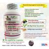 Ultimate Resveratrol Complex with Vitamin C, Green Tea & Grape Seed Extract Vegetarian Formula Antioxidant - Longevity Powerful Synergistic Formulation 