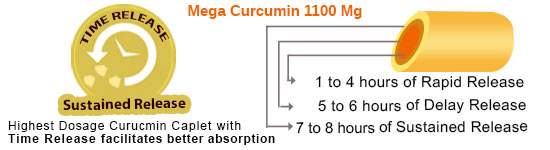 Mega Curcumin: Time Release facilitates better absorption